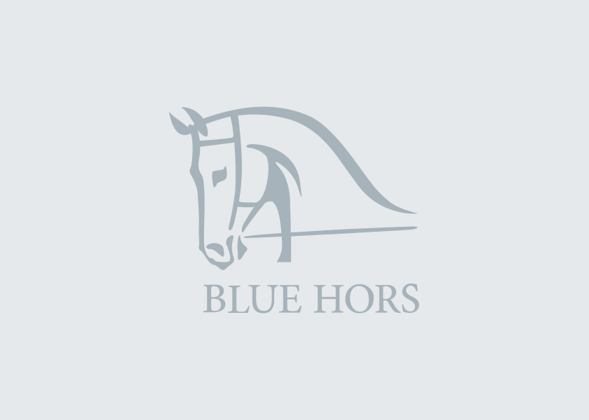 Blue Hors St. Schufro Named Elite Stallion by Danish Warmblood