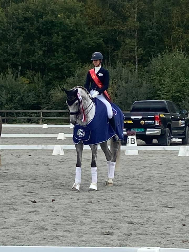 Blue Hors Zack-son wins the Norwegian young horse championships for 7-year olds