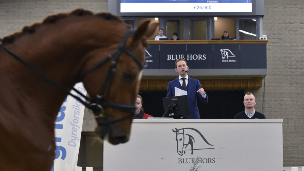 Successful first Blue Hors Autumn Auction!