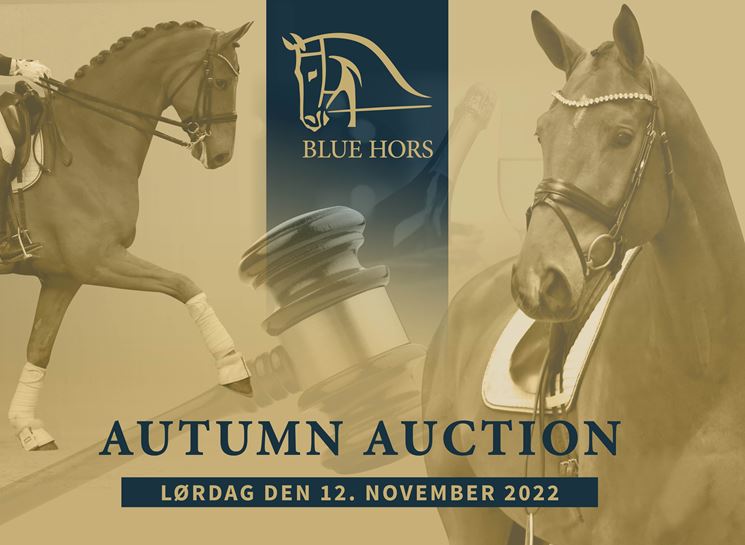Blue Hors Autumn Auction 2022