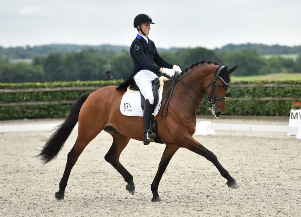 Blue Hors Talent Rider beats the National Coach in Intermediare I