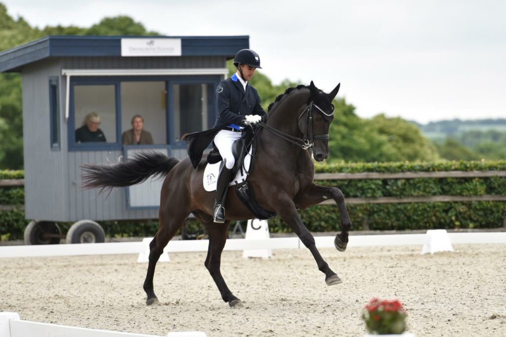 First Choice and Cristian with great results in the high level dressage at Blue Hors Summer Festival