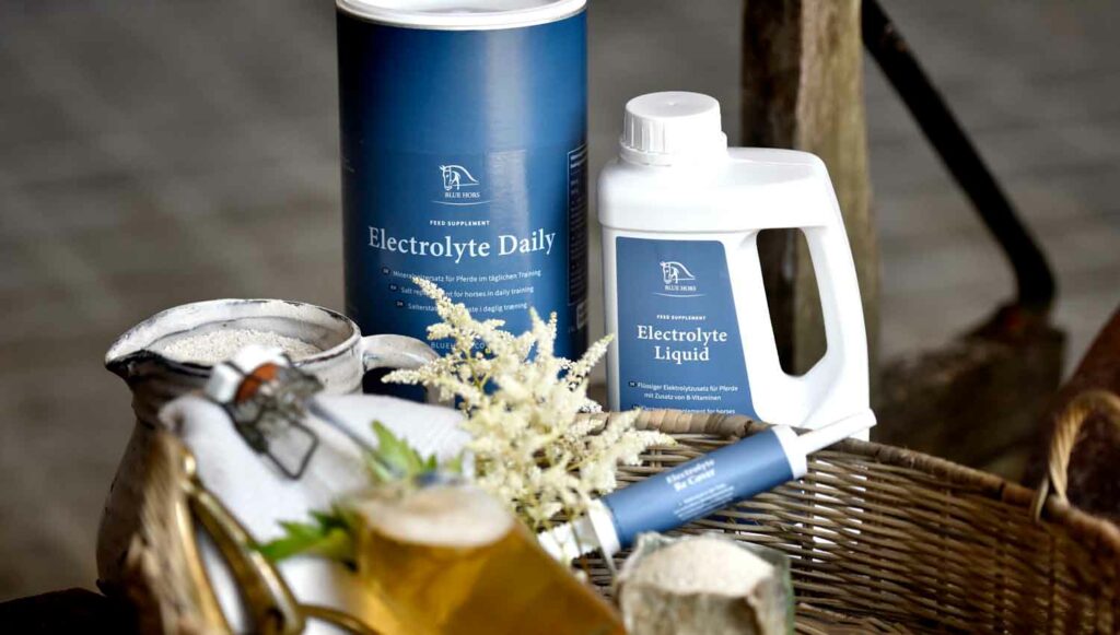 Are you supplying your horse with the necessary electrolytes it needs to thrive?