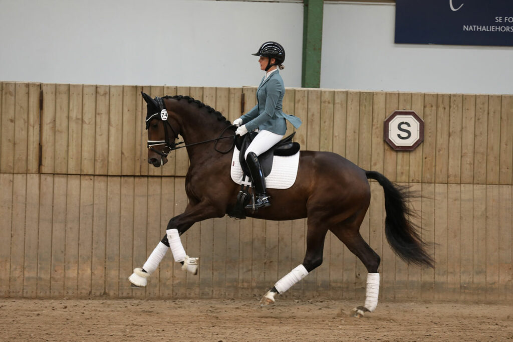 These 3- and 4-year-old mares are coming to the DWB Elite Mare Election in Herning