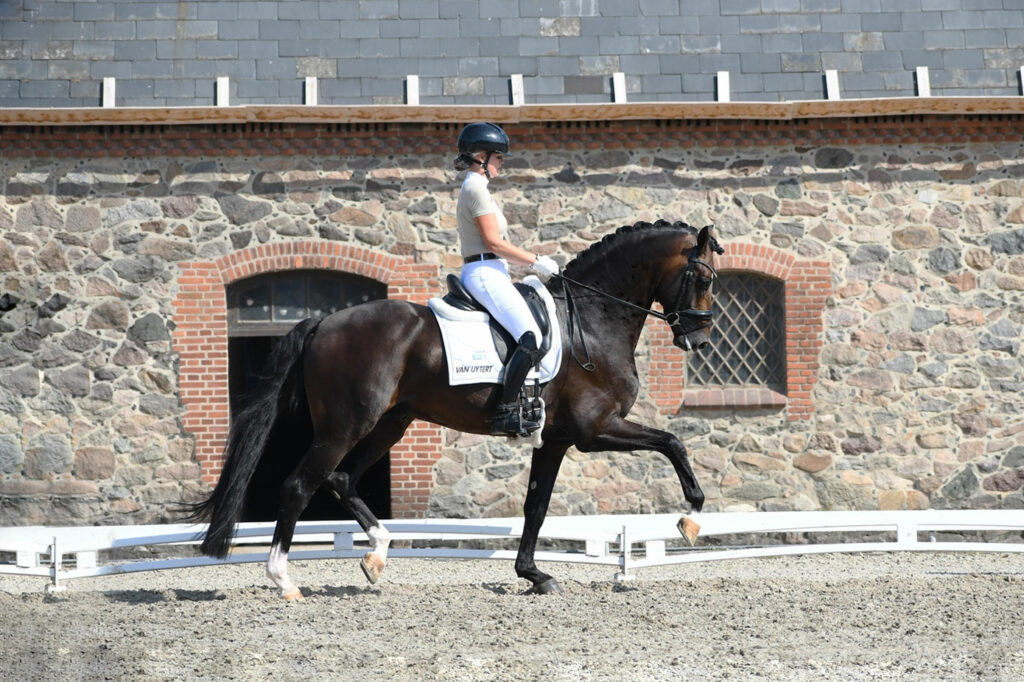 Blue Hors Santiano to represent Denmark at WCYH