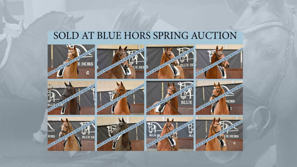 Velafviklet Blue Hors Spring Auction 2022