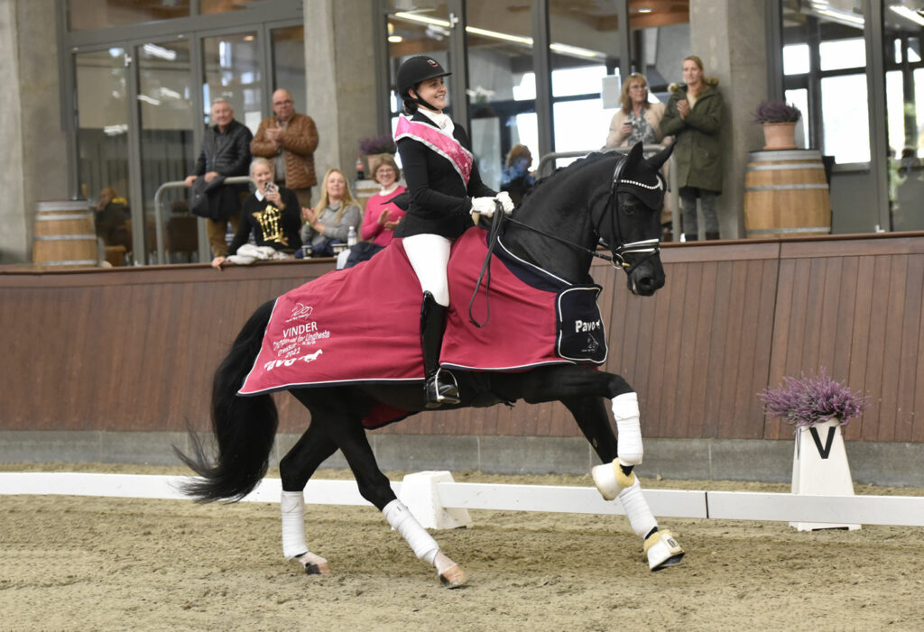 Great results at the Danish Young Horse Championship for 5-y/o's!