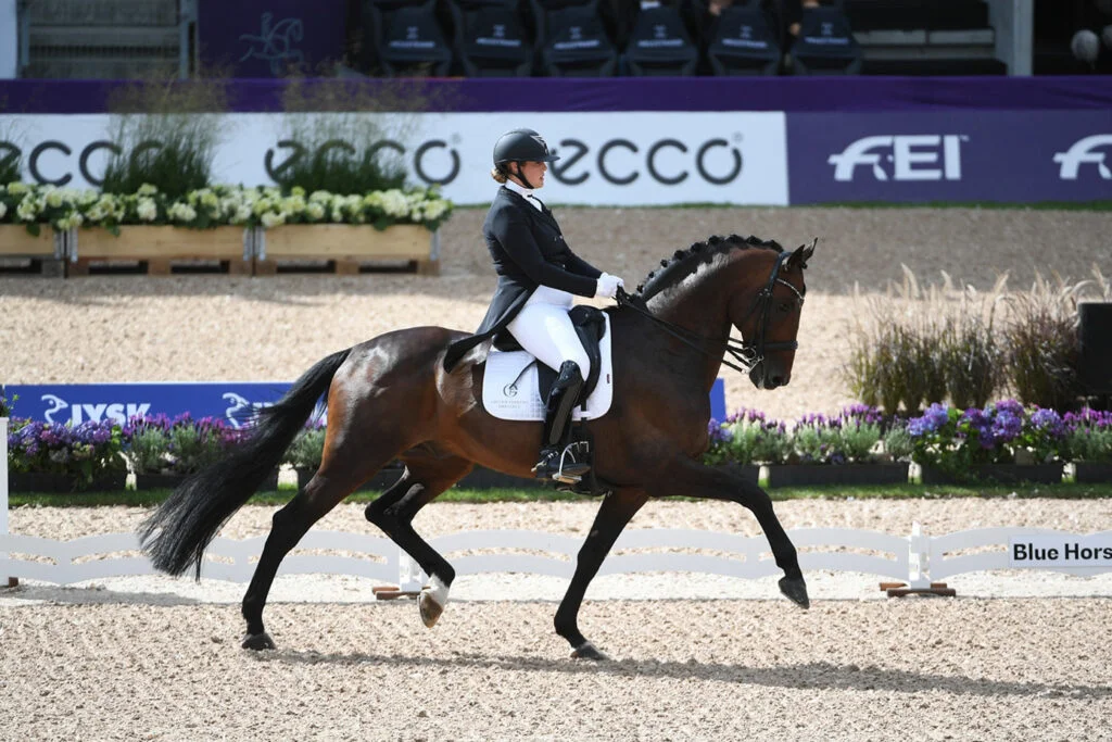 Thirteen Blue Hors offspring competed at the WC dressage in Herning