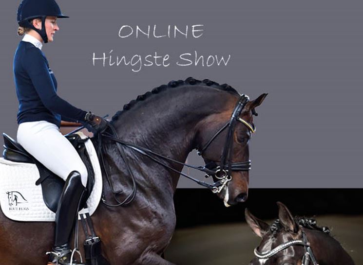 Online Hingsteshow 2021