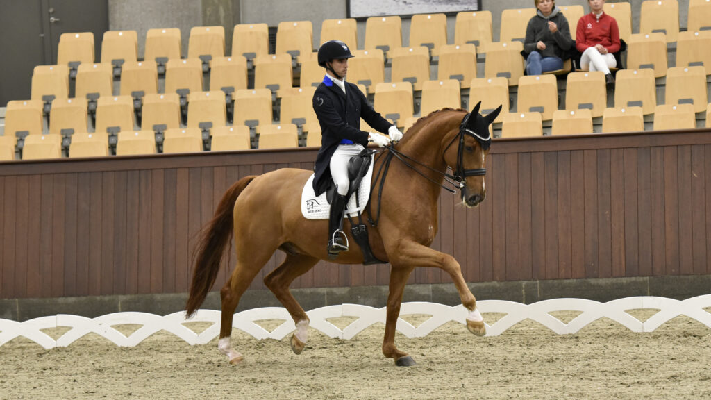 Day 1 at the Dressage Festival has been full of good atmosphere and great dressage!
