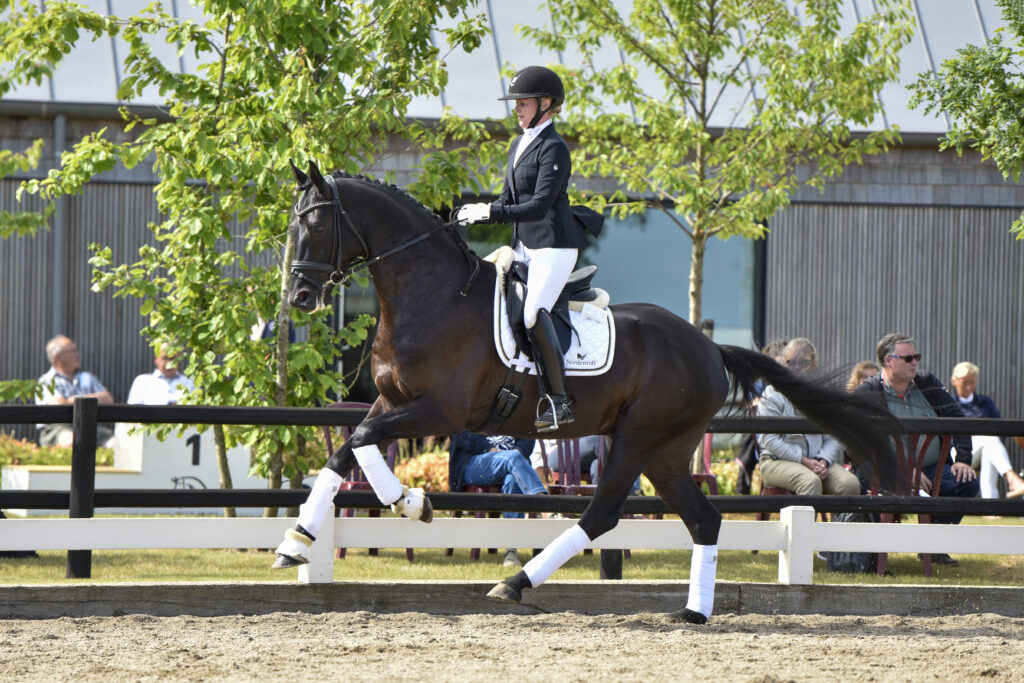 The victory in the Blue Hors 4-year-old Dressage Championship went to Bentley!