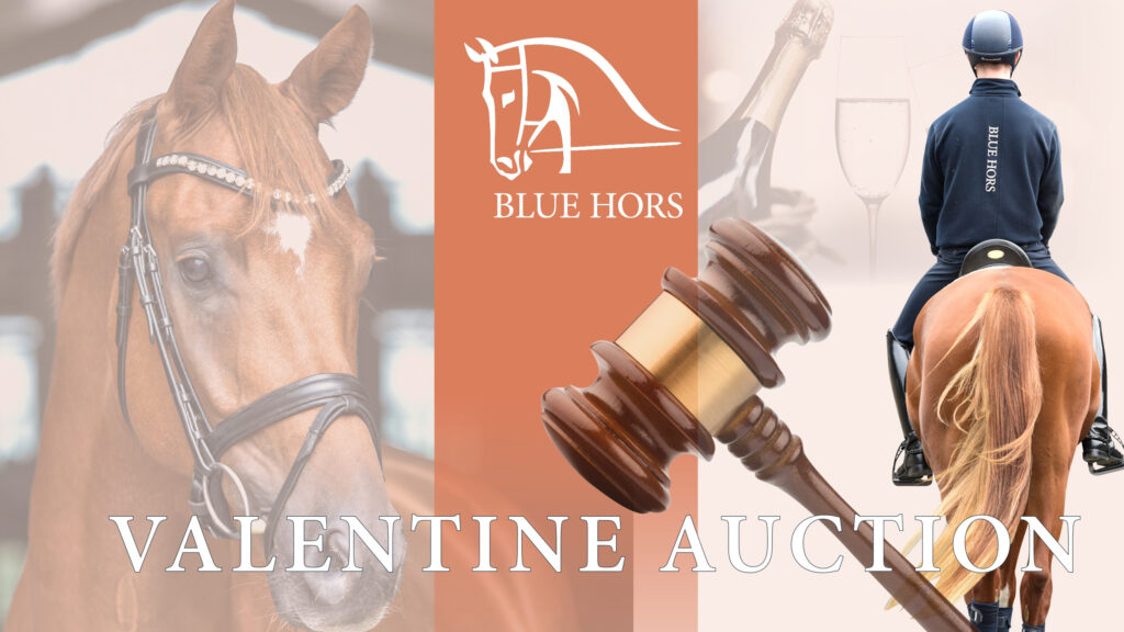 Blue Hors Valentine Auction