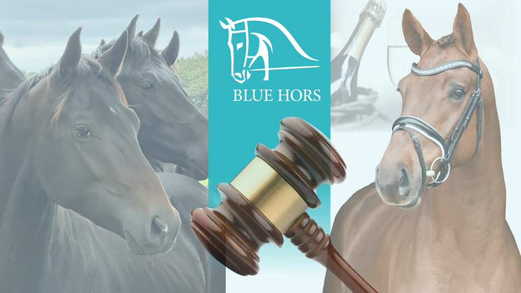 Blue Hors Youngster Auction