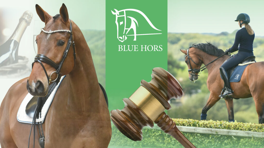 Blue Hors Future Auction